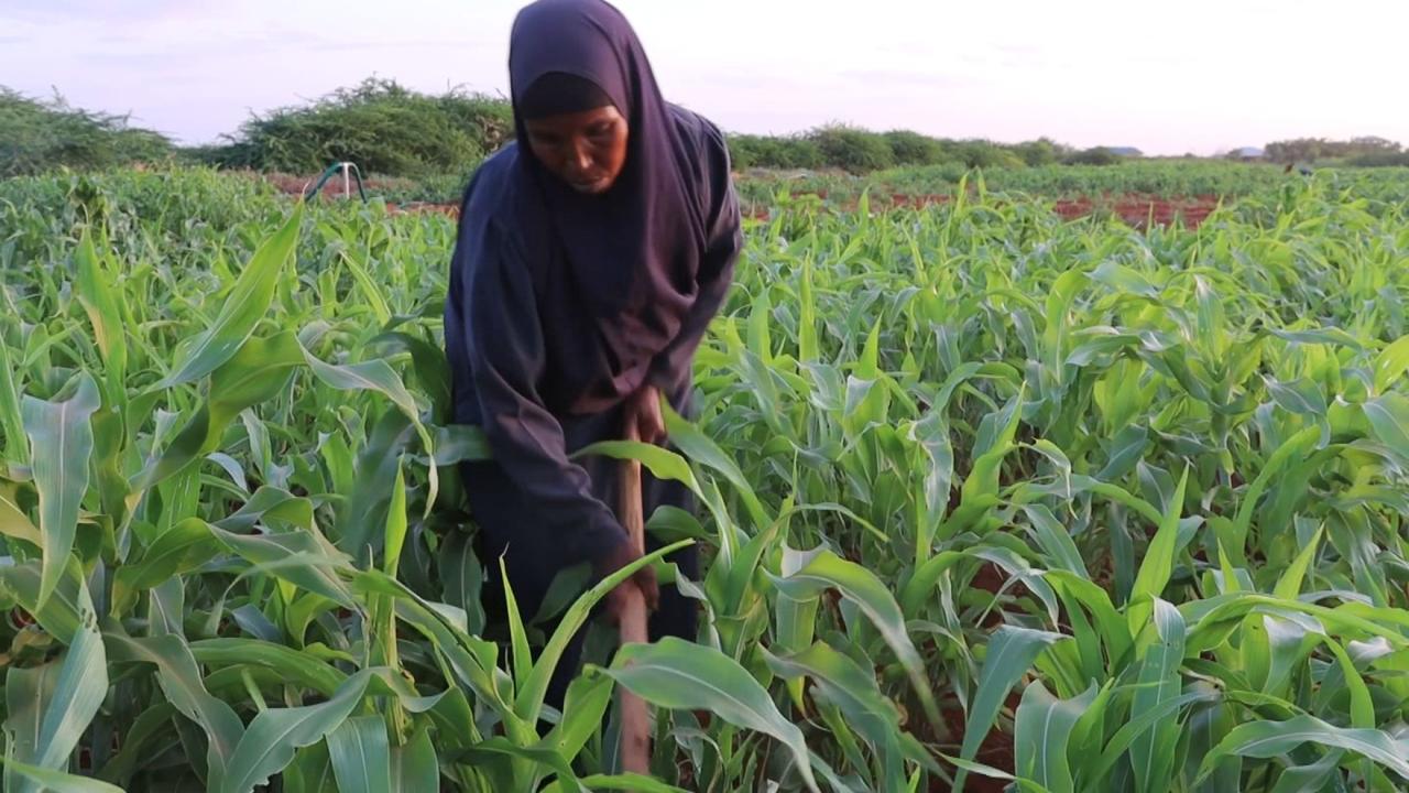 The Role of Capacity Building in Natural Resource Management